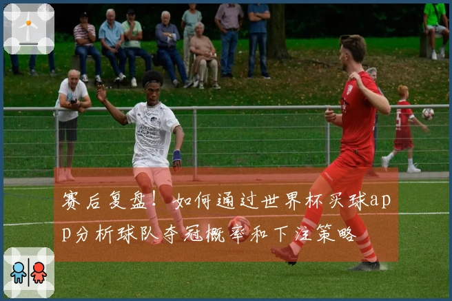 赛后复盘！如何通过世界杯买球app分析球队夺冠概率和下注策略