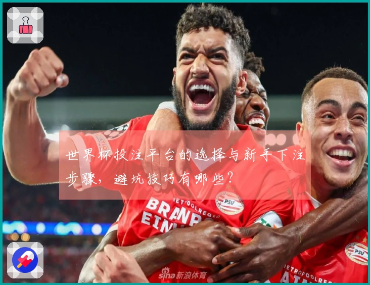 世界杯投注平台的选择与新手下注步骤，避坑技巧有哪些？