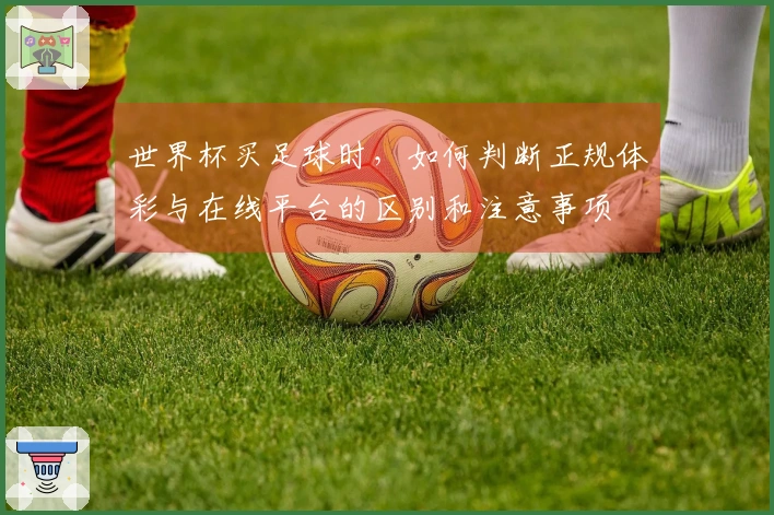 世界杯买足球时，如何判断正规体彩与在线平台的区别和注意事项