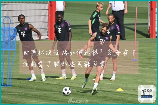 世界杯投注站如何选择？新手在下注前需了解哪些关键因素