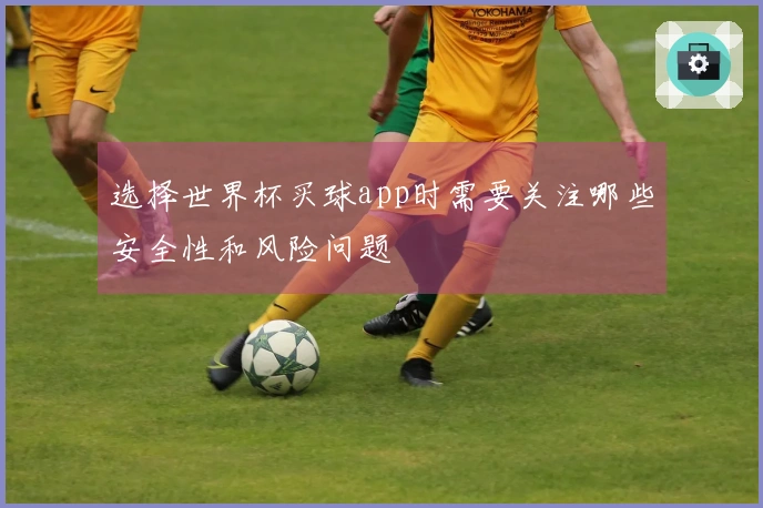 选择世界杯买球app时需要关注哪些安全性和风险问题