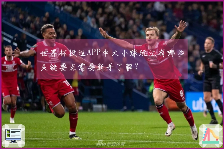 世界杯投注APP中大小球玩法有哪些关键要点需要新手了解？