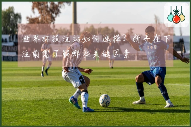 世界杯投注站如何选择?新手在下注前需了解哪些关键因素