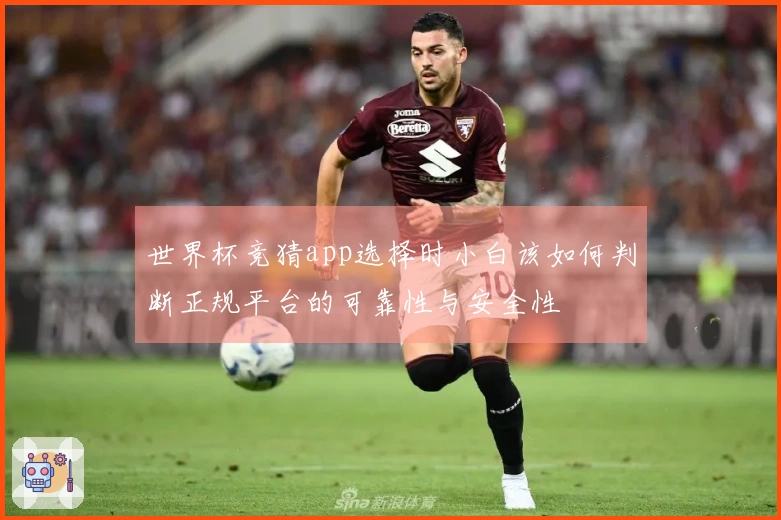 世界杯竞猜app选择时小白该如何判断正规平台的可靠性与安全性