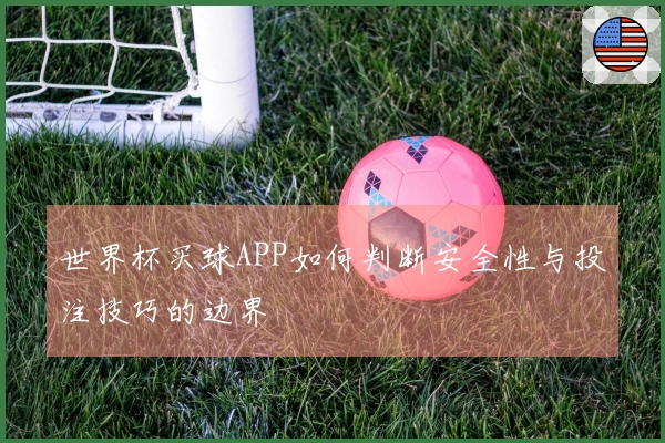 世界杯买球APP如何判断安全性与投注技巧的边界