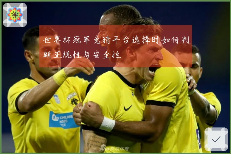 世界杯冠军竞猜平台选择时如何判断正规性与安全性