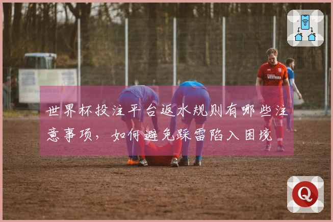 世界杯投注平台返水规则有哪些注意事项，如何避免踩雷陷入困境