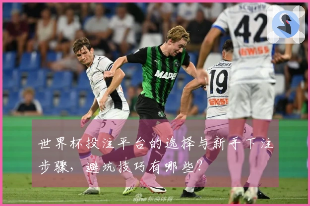 世界杯投注平台的选择与新手下注步骤，避坑技巧有哪些？