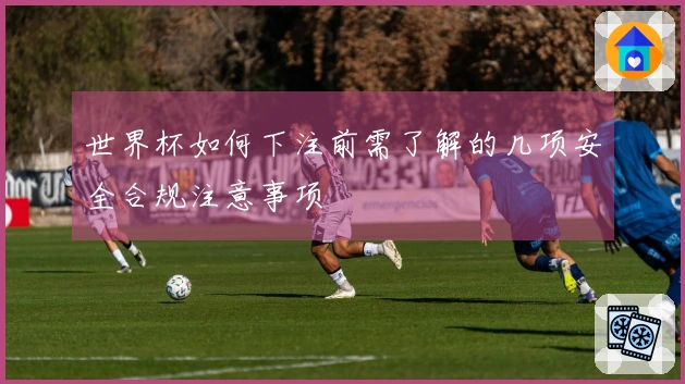 世界杯如何下注前需了解的几项安全合规注意事项
