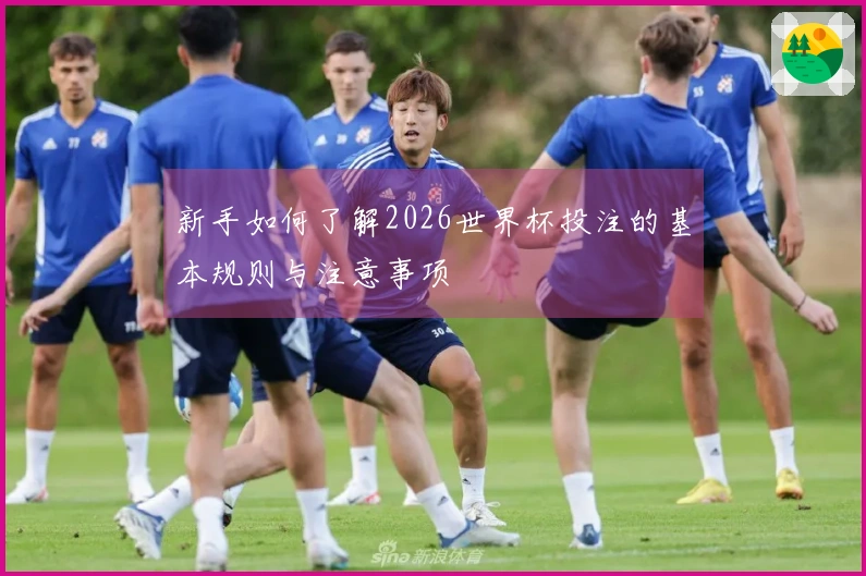 新手如何了解2026世界杯投注的基本规则与注意事项