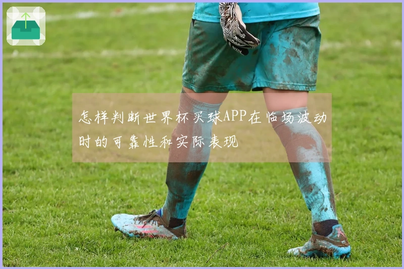 怎样判断世界杯买球APP在临场波动时的可靠性和实际表现