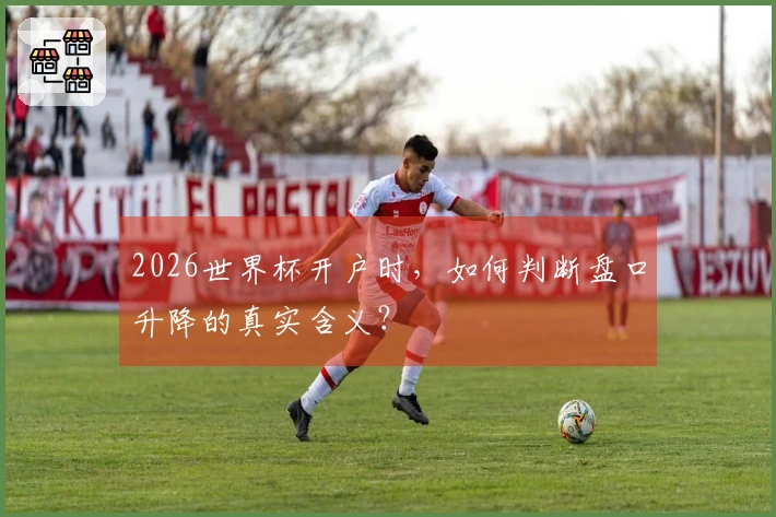2026世界杯开户时，如何判断盘口升降的真实含义？