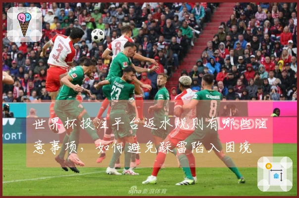 世界杯投注平台返水规则有哪些注意事项，如何避免踩雷陷入困境