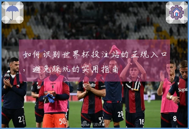 如何识别世界杯投注站的正规入口，避免踩坑的实用指南