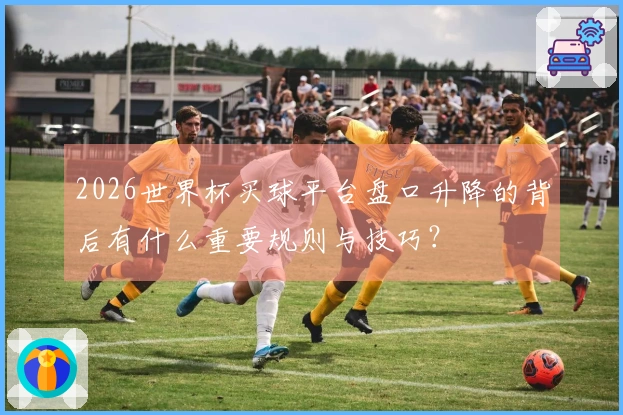 2026世界杯买球平台盘口升降的背后有什么重要规则与技巧？