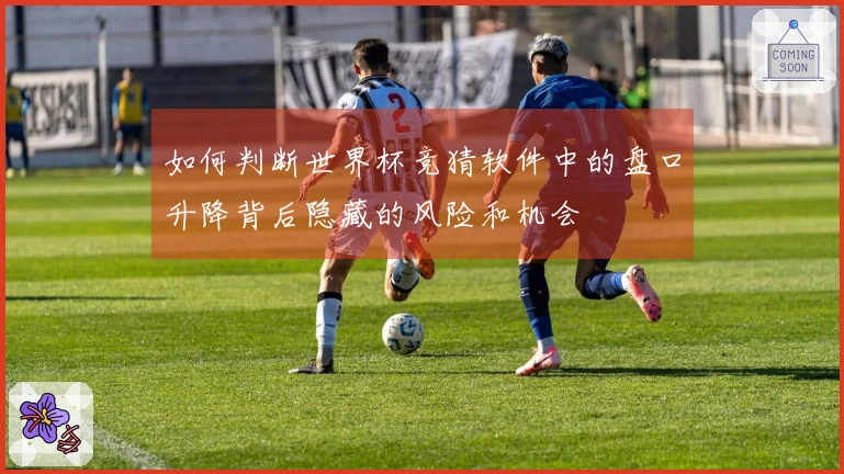 如何判断世界杯竞猜软件中的盘口升降背后隐藏的风险和机会