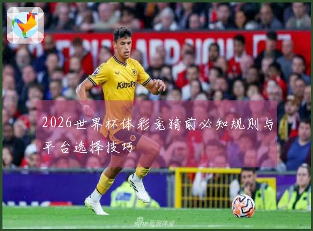 2026世界杯体彩竞猜前必知规则与平台选择技巧