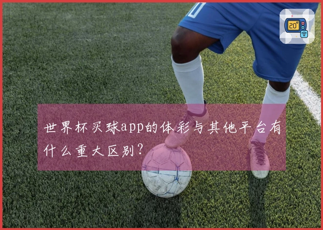 世界杯买球app的体彩与其他平台有什么重大区别？