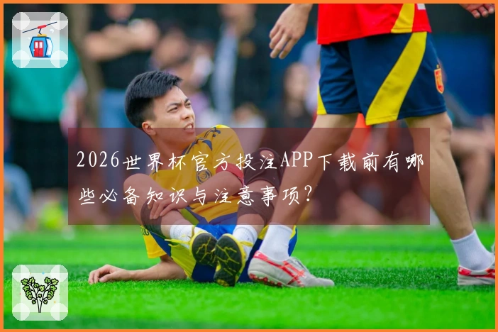 2026世界杯官方投注APP下载前有哪些必备知识与注意事项？