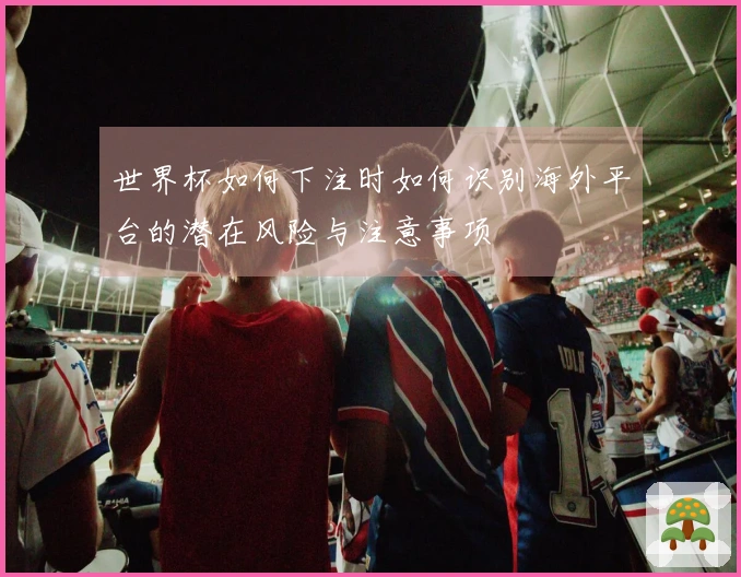 世界杯如何下注时如何识别海外平台的潜在风险与注意事项