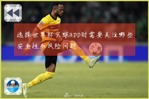 选择世界杯买球app时需要关注哪些安全性和风险问题