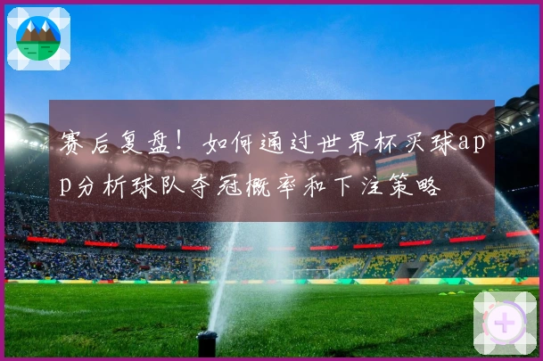 赛后复盘！如何通过世界杯买球app分析球队夺冠概率和下注策略
