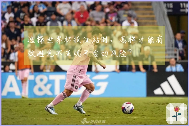 选择世界杯投注站时，怎样才能有效避免不正规平台的风险？