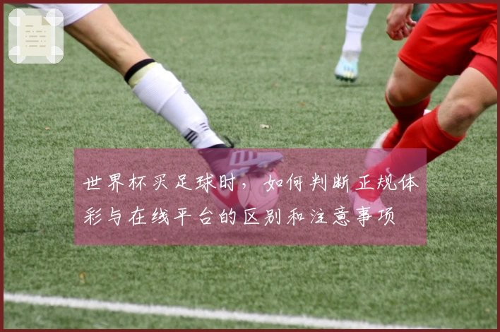 世界杯买足球时，如何判断正规体彩与在线平台的区别和注意事项