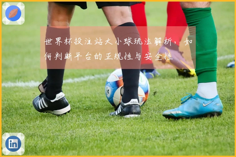世界杯投注站大小球玩法解析,如何判断平台的正规性与安全性
