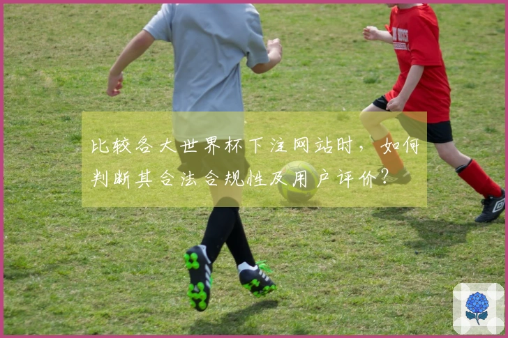 比较各大世界杯下注网站时，如何判断其合法合规性及用户评价？