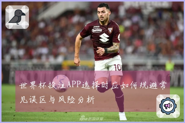世界杯投注APP选择时应如何规避常见误区与风险分析