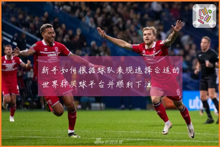 新手如何根据球队表现选择合适的世界杯买球平台并顺利下注