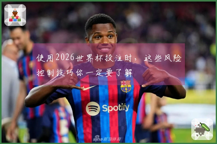 使用2026世界杯投注时，这些风险控制技巧你一定要了解