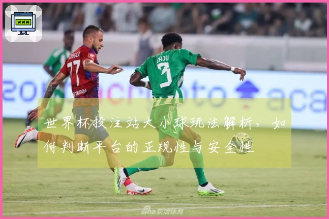 世界杯投注站大小球玩法解析，如何判断平台的正规性与安全性