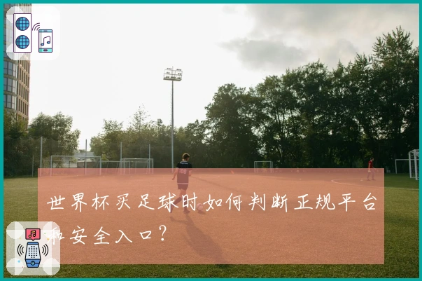 世界杯买足球时如何判断正规平台和安全入口？