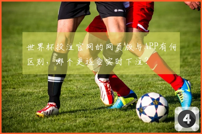 世界杯投注官网的网页版与APP有何区别，哪个更适合实时下注？