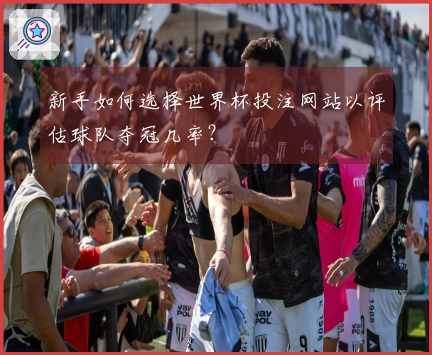 新手如何选择世界杯投注网站以评估球队夺冠几率？