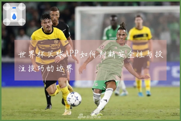 世界杯买球APP如何判断安全性与投注技巧的边界