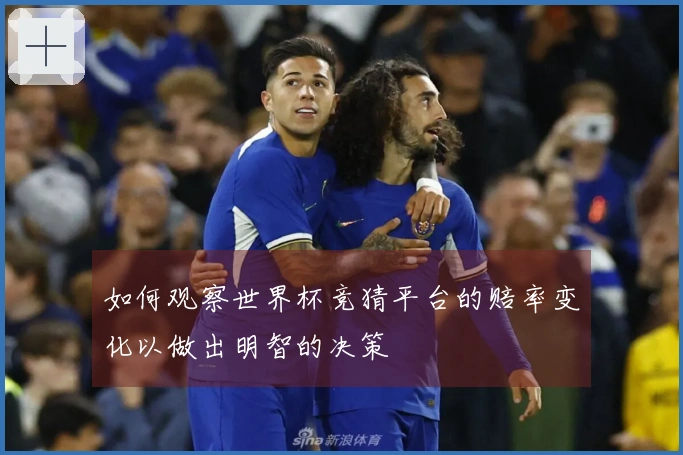 如何观察世界杯竞猜平台的赔率变化以做出明智的决策