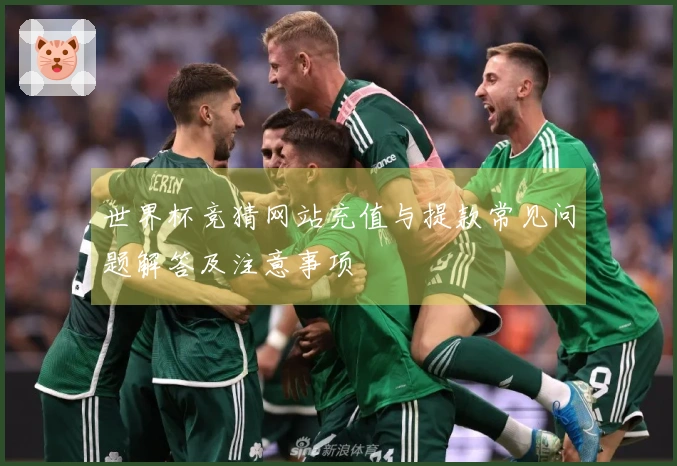 世界杯竞猜网站充值与提款常见问题解答及注意事项