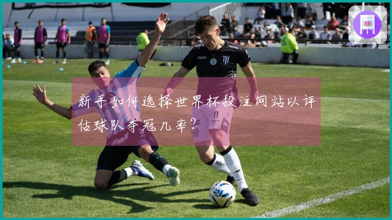 新手如何选择世界杯投注网站以评估球队夺冠几率？